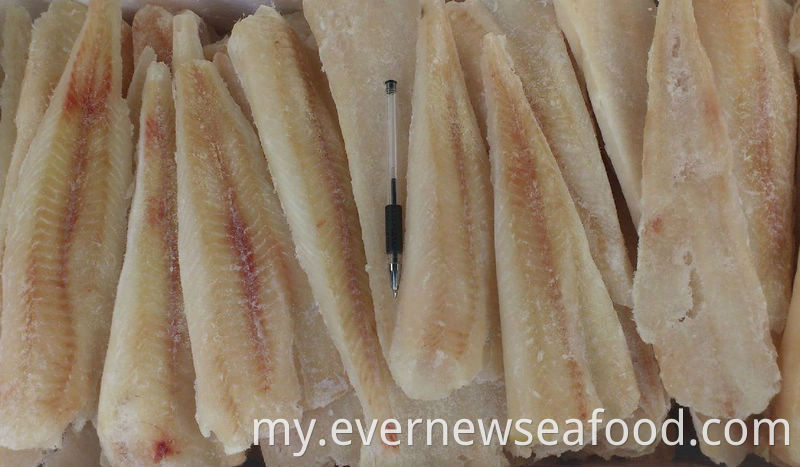 လတ်ဆတ်သော အေးခဲထားသော ငါးအသားလွှာ hake အသားလွှာ အေးခဲထားသည်။